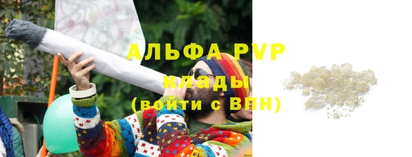 дживик Бородино