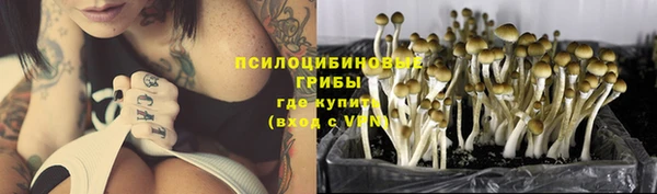 тгк Бугульма
