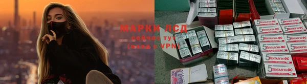 spice Богданович