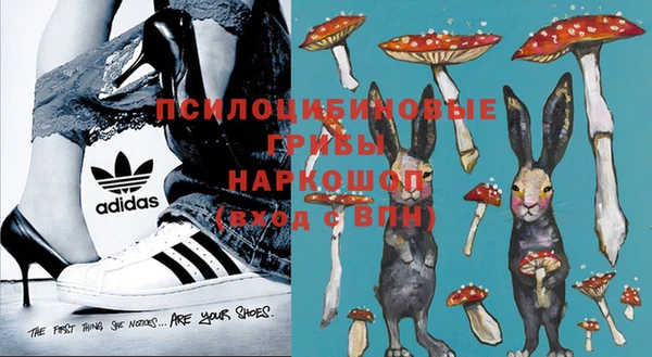 spice Богданович