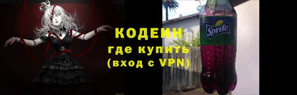 дживик Бородино