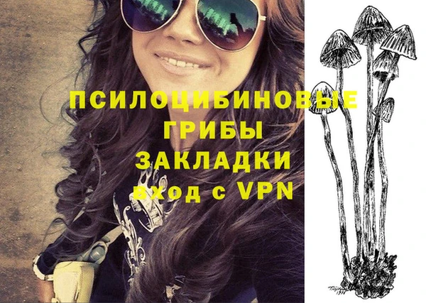 дживик Бородино
