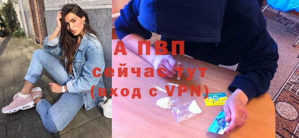 дживик Бородино