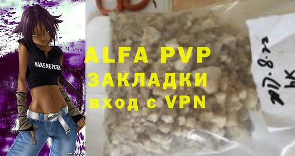 spice Богданович