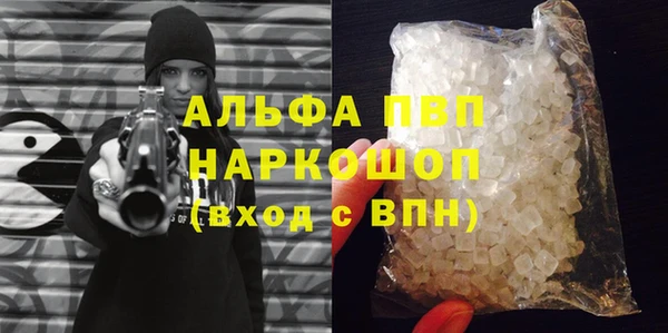 дживик Бородино