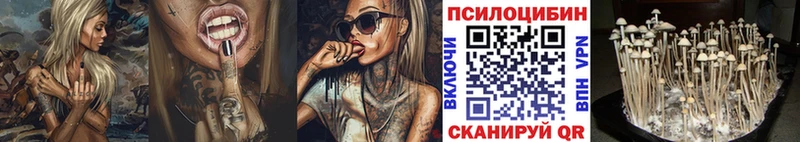 Галлюциногенные грибы Psilocybe Ворсма